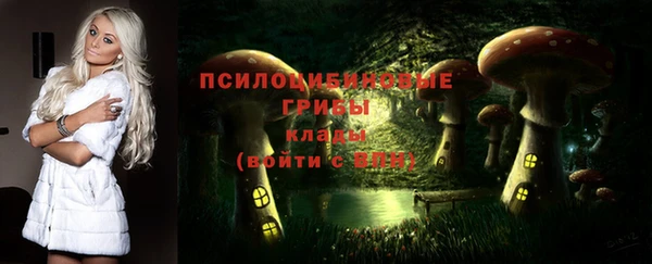 ПСИЛОЦИБИНОВЫЕ ГРИБЫ Гусев