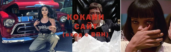 ПСИЛОЦИБИНОВЫЕ ГРИБЫ Гусев