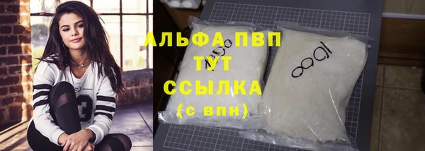 ПСИЛОЦИБИНОВЫЕ ГРИБЫ Гусев