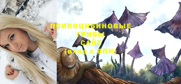 бутират Гусиноозёрск