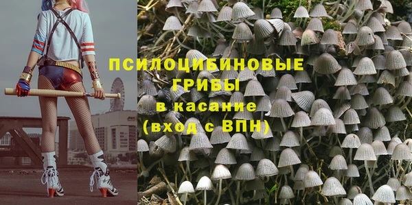 бутират Гусиноозёрск