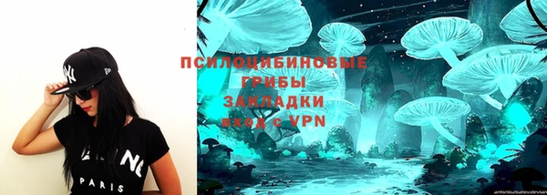 кокс Гусь-Хрустальный