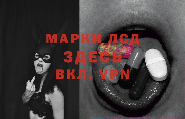 ПСИЛОЦИБИНОВЫЕ ГРИБЫ Гусев
