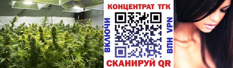 ТГК концентрат  Купить  Венёв 