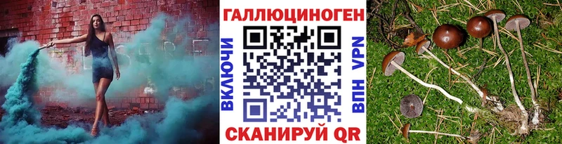 Купить закладки  Венёв  Псилоцибиновые грибы прущие грибы 